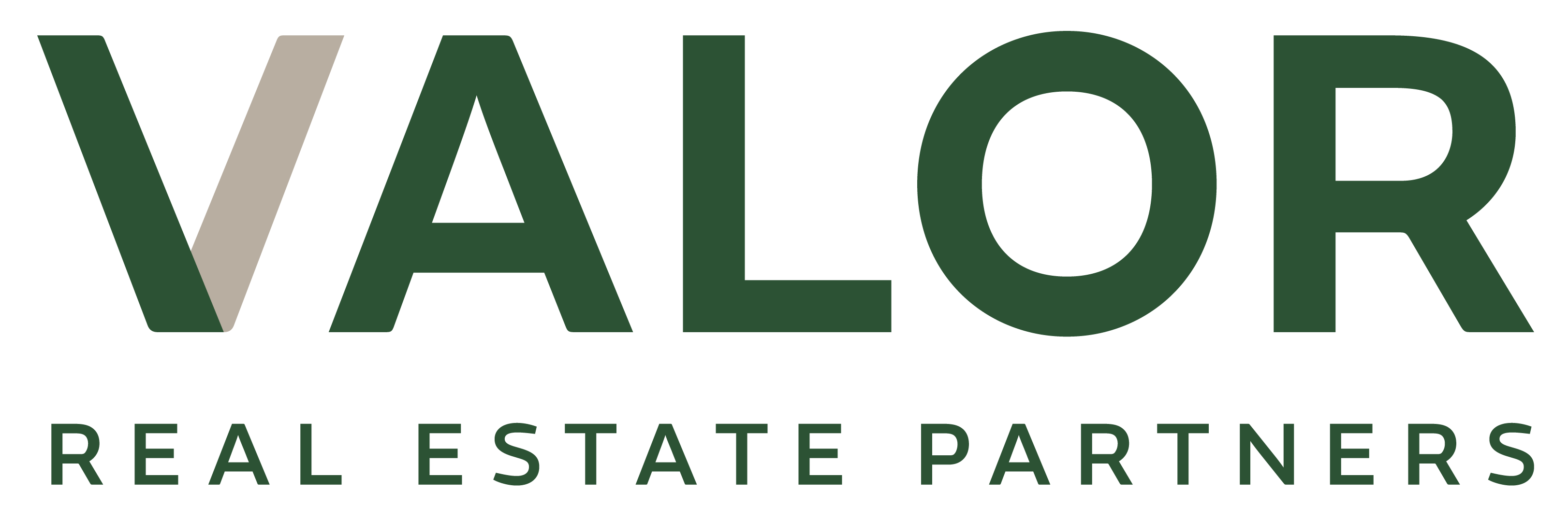 Valor Logo